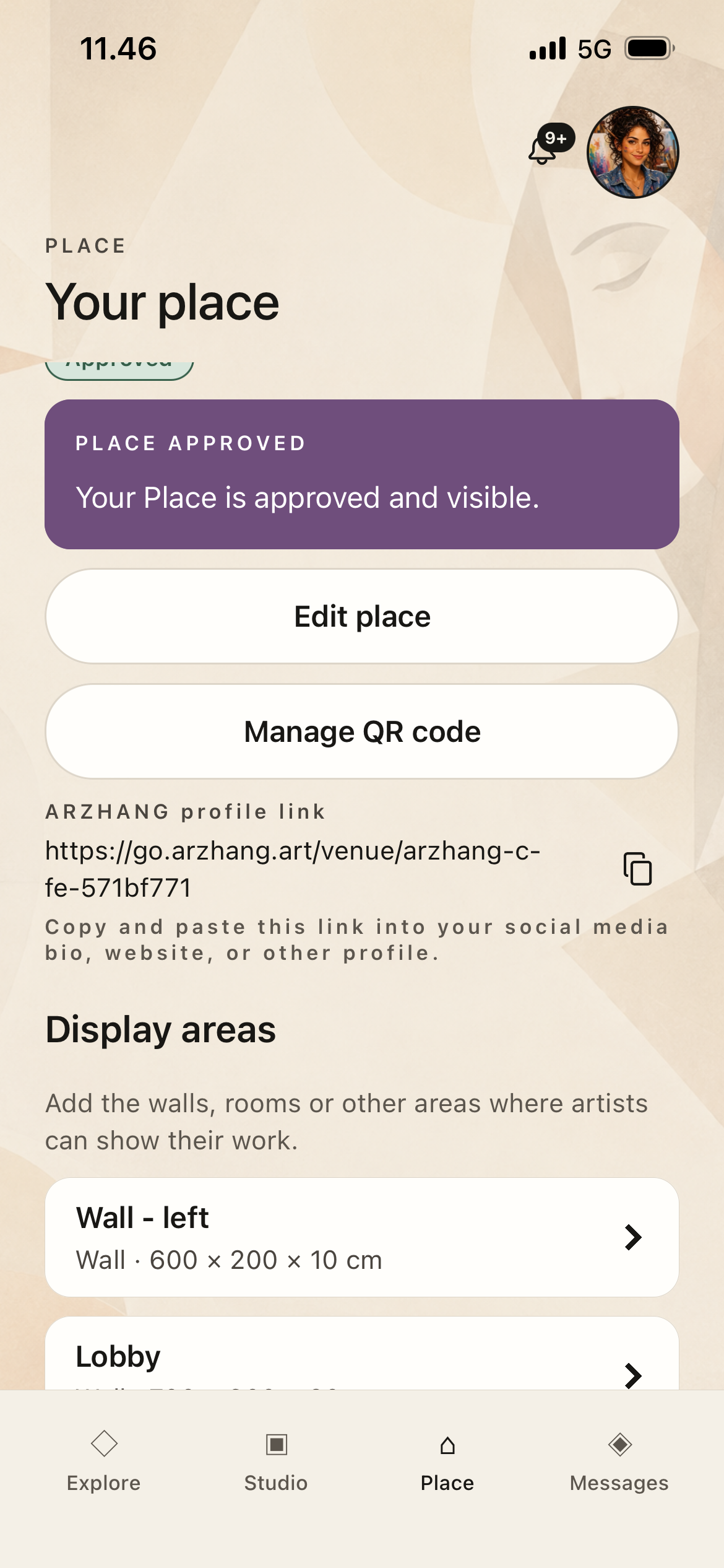 ARZHANG Place dashboard showing display areas